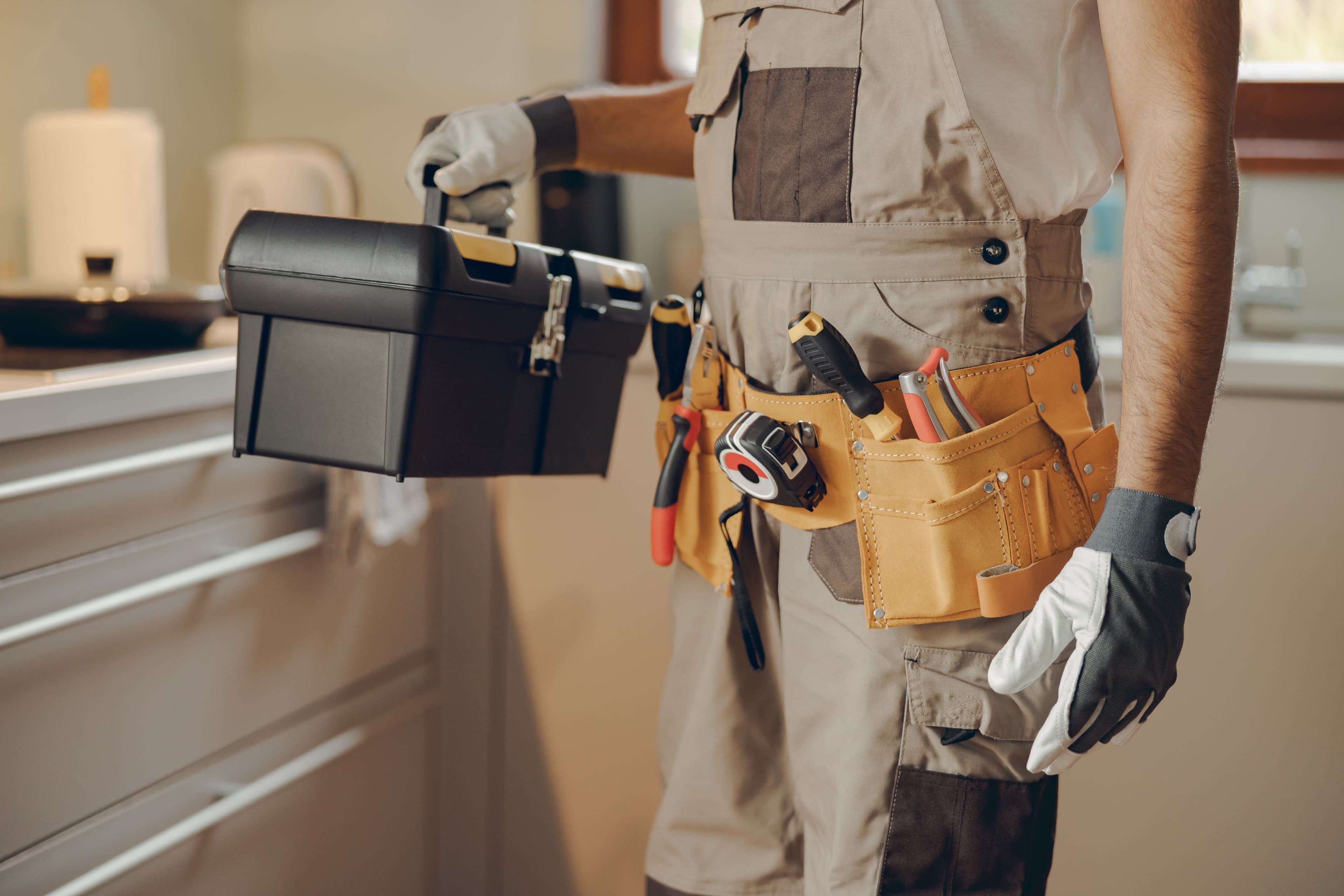 Professional with toolbox